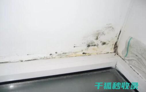 墙面污渍处理：常见污渍类型及针对性清洁方法 (墙面污渍处理小妙招)