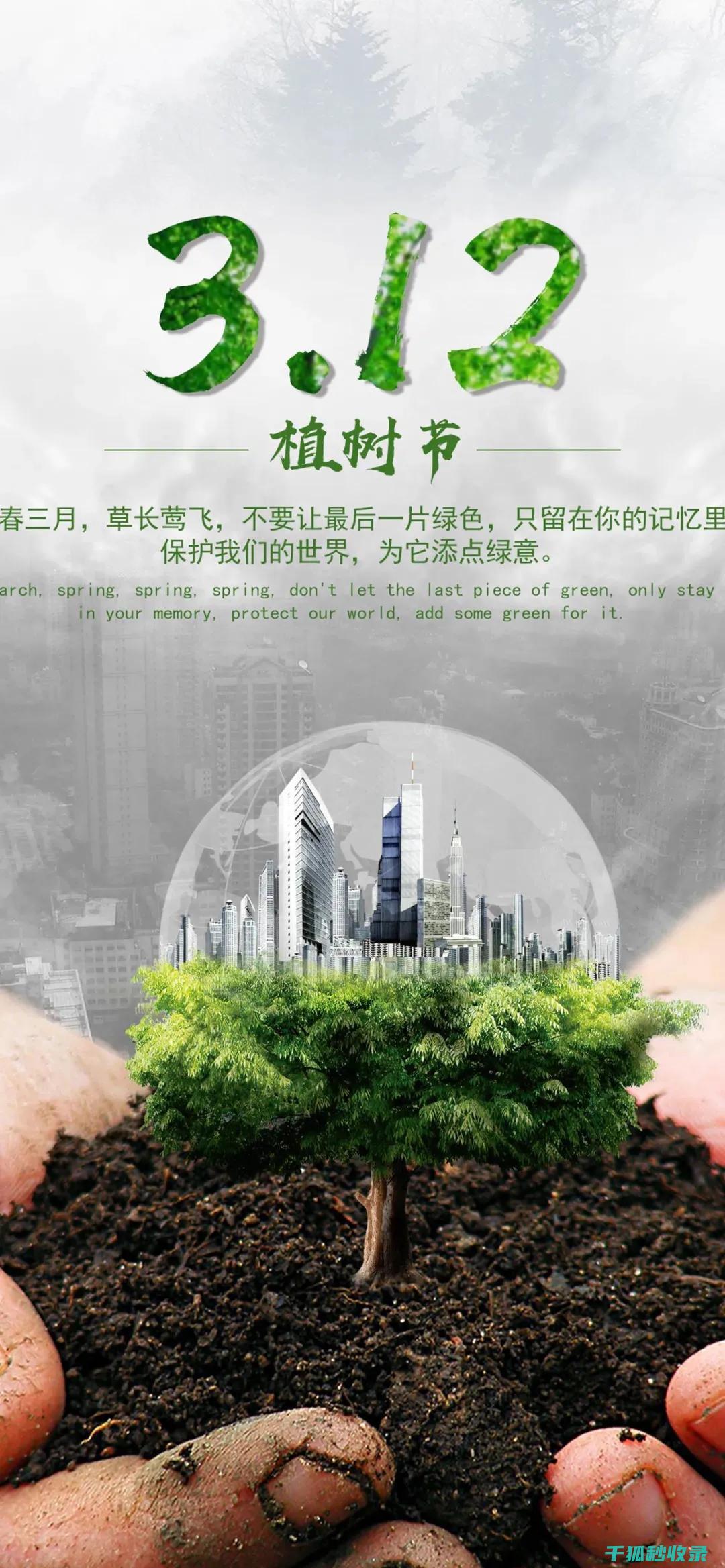 植树节：用树木抵御气候变化 (植树节用树叶做画)