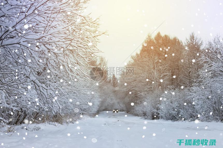 雪天防滑经验分享：如何在冰雪中稳健前行 (雪天防滑措施)