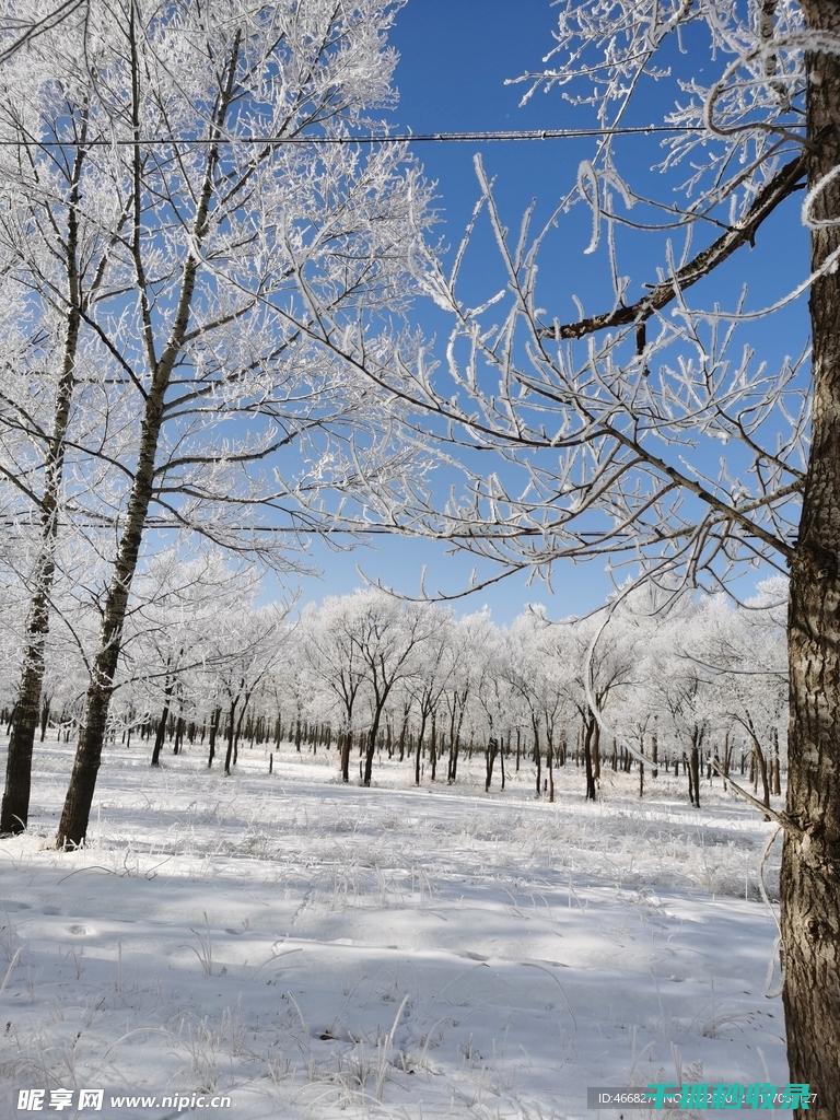 雪天防滑小窍门：轻松应对冬季出行难题 (雪天防滑小窍门视频)