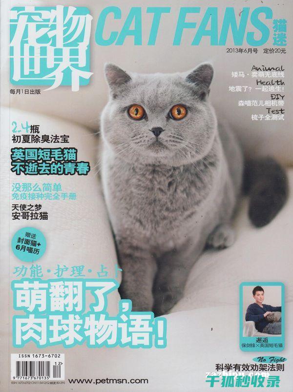 宠物驱虫周期：如何制定个性化的驱虫计划 (宠物驱虫周期多久)