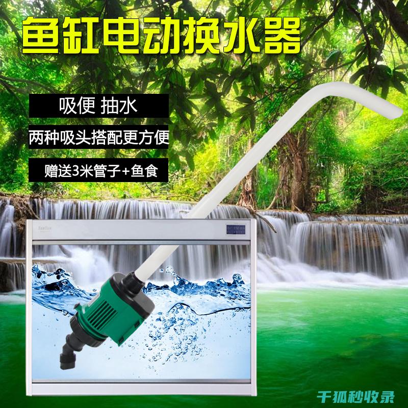 水族箱清洁注意事项：避免对鱼类造成伤害的方法 (水族箱清洁注意事项)