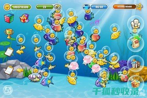 水族箱清洁心得分享：新手必备的经验之谈 (水族箱清洁心得体会)