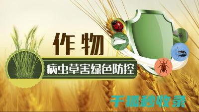 植物病虫害防治：病虫害监测与预警系统的重要性 (植物病虫害防治)