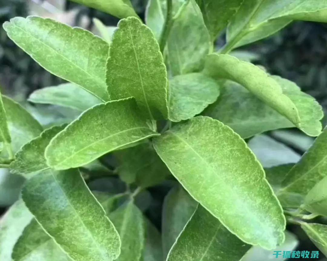 考试题及答案