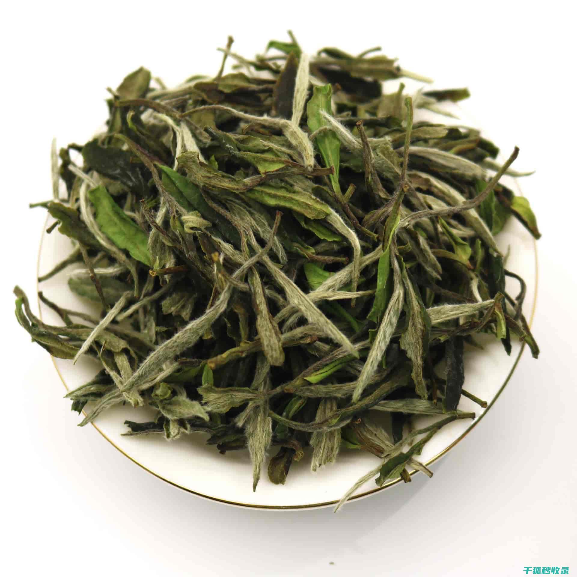 白鞋污渍处理：不同污渍的针对性清洁方法 (白鞋污渍处理方法)
