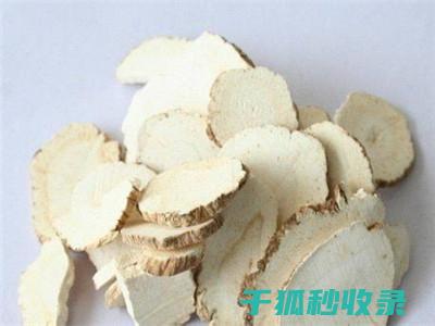 白鞋清洁指南：从日常护理到深层清洁 (白鞋清洁指南最新)