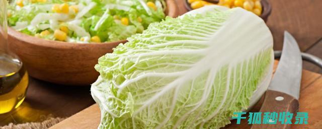 延长蔬菜保鲜期的90个实用技巧 (延长蔬菜保鲜期的植物激素)