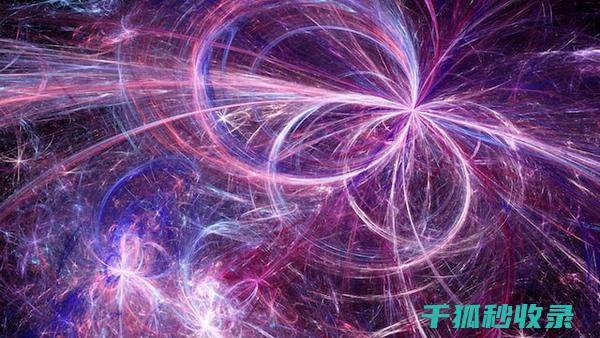 电磁炉锅具的选择与保养：确保高效烹饪 (电磁炉锅具的选择)