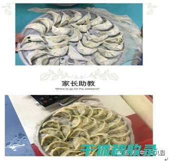 独家分享：饺子皮不破皮的独家秘方 (饺饺子的做法)