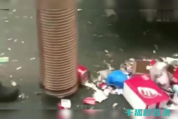 吸尘器的奇妙用途：清洁与整理的双重利器 (吸尘器的奇妙之处)