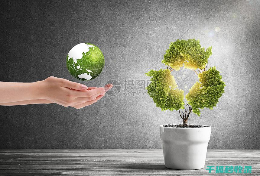 环保家居：自制收纳盒，为环境做贡献 (环保创意家居)