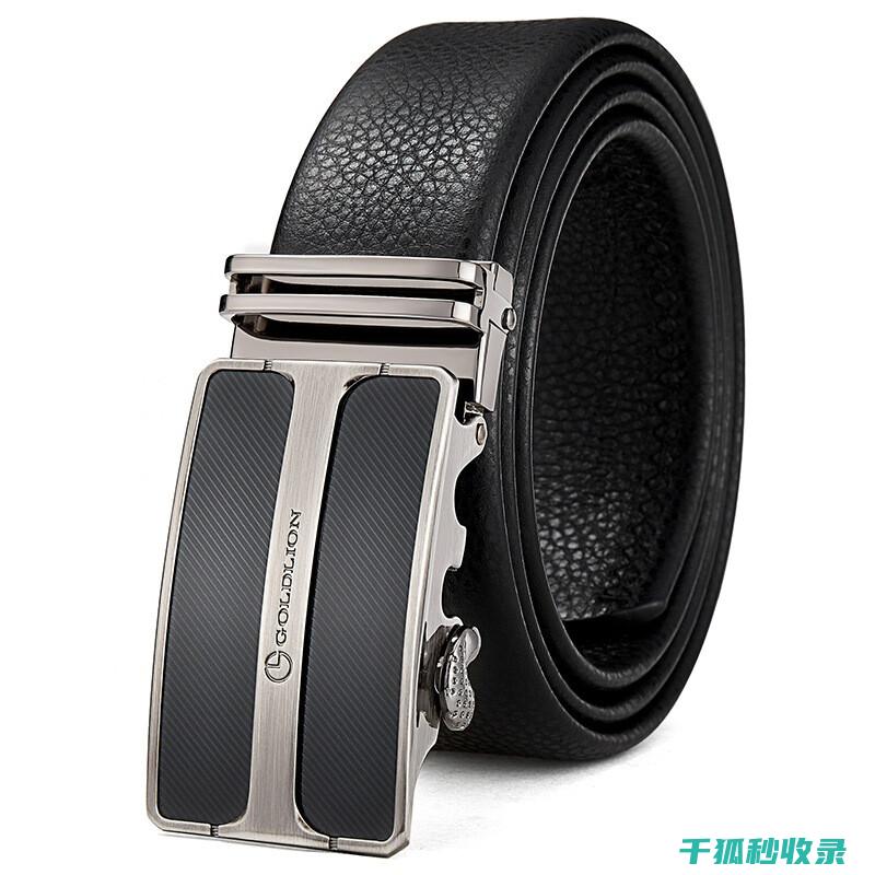 皮带收纳袋：精致设计，实用又美观 (皮带收纳袋)