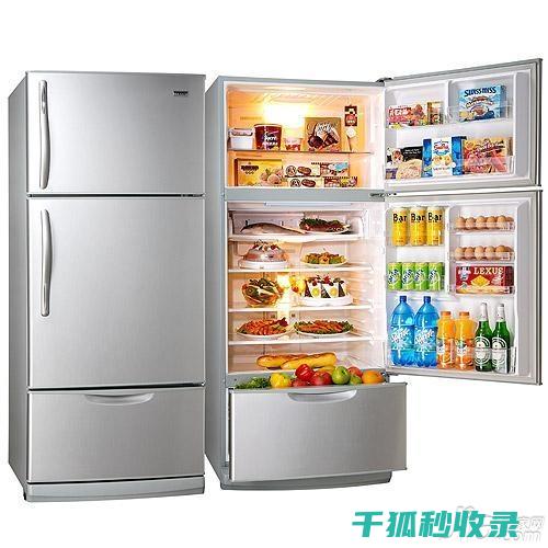 冰箱收纳新思路：分区存储让食物管理更高效 (冰箱收纳新思路怎么写)