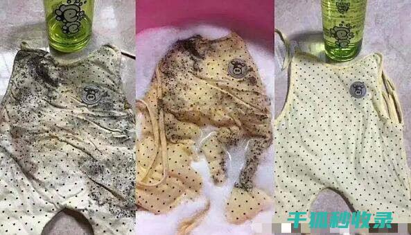 霉点去除误区？避开这些才能彻底清洁 (霉点去除方法)