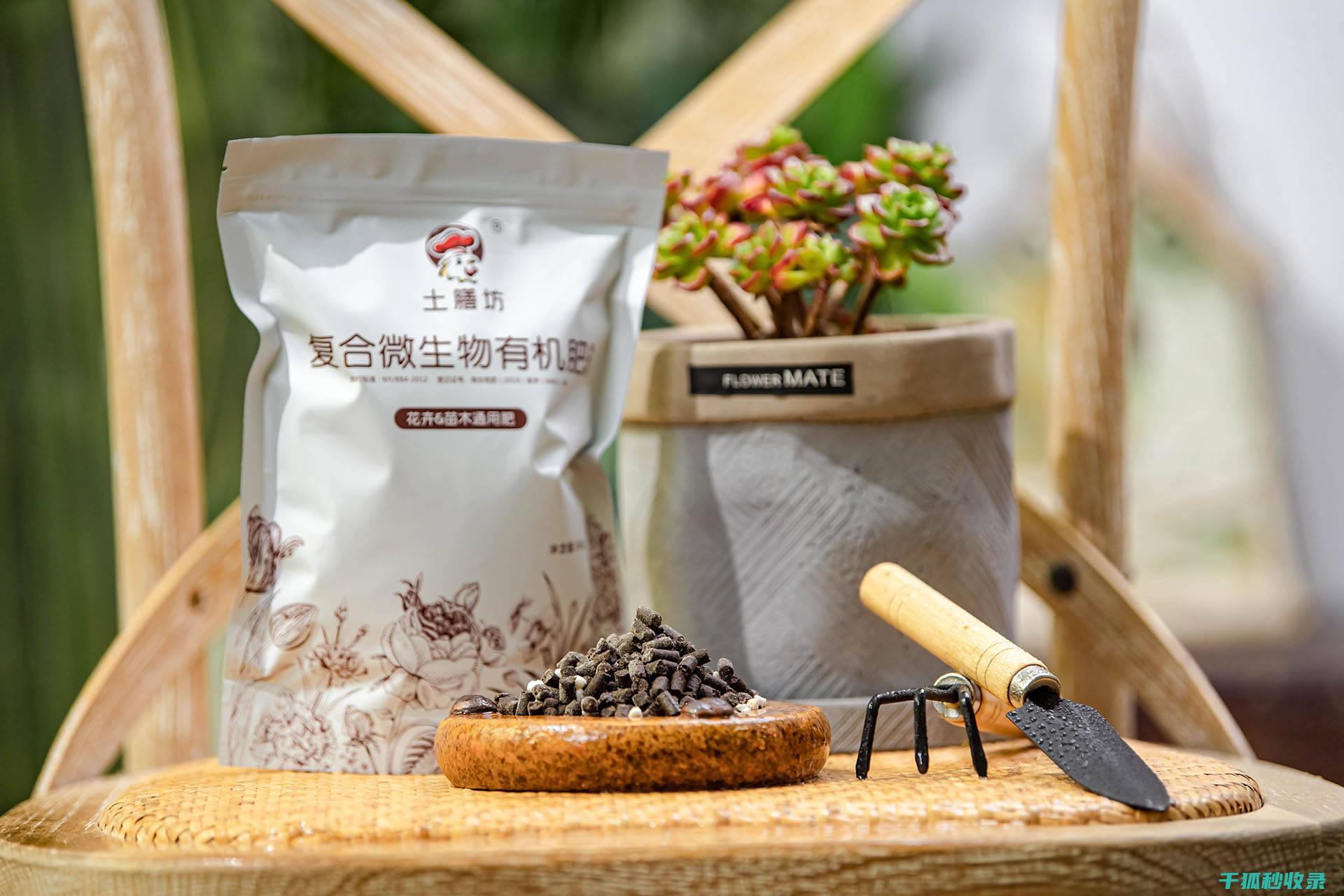 花瓶清洁与保养的误区：避免走入这些陷阱 (花瓶清洁与保养的区别)