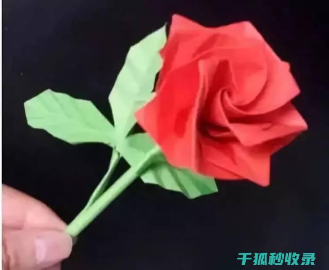 DIY有机花肥：让花卉健康生长的小窍门 (有机花怎样做)