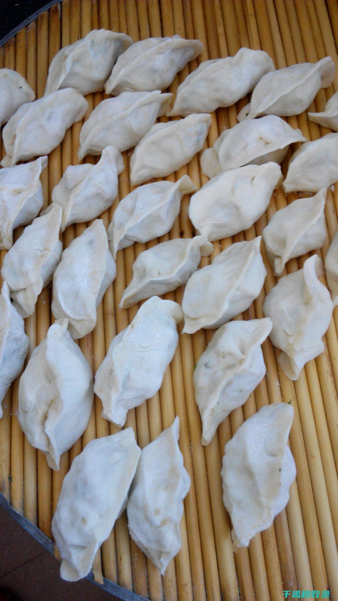 饺子馅里的豆子颜色变化，这背后是否存在问题？ (饺子馅里的豆腐怎么做)