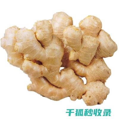 生姜储存小窍门：让你的生姜保持新鲜 (生姜储存小窍门有哪些)