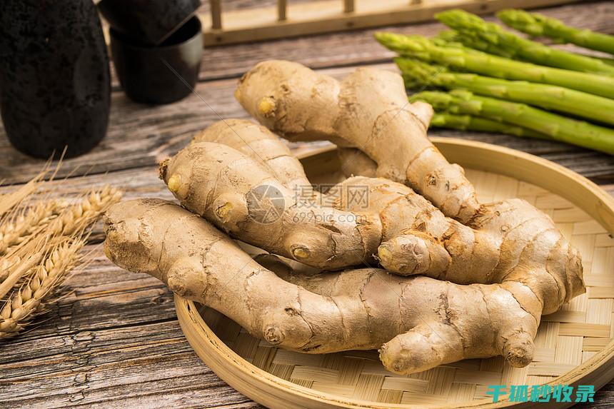 生姜保鲜技巧：正确保存方法全揭秘 (生姜保鲜技巧视频)