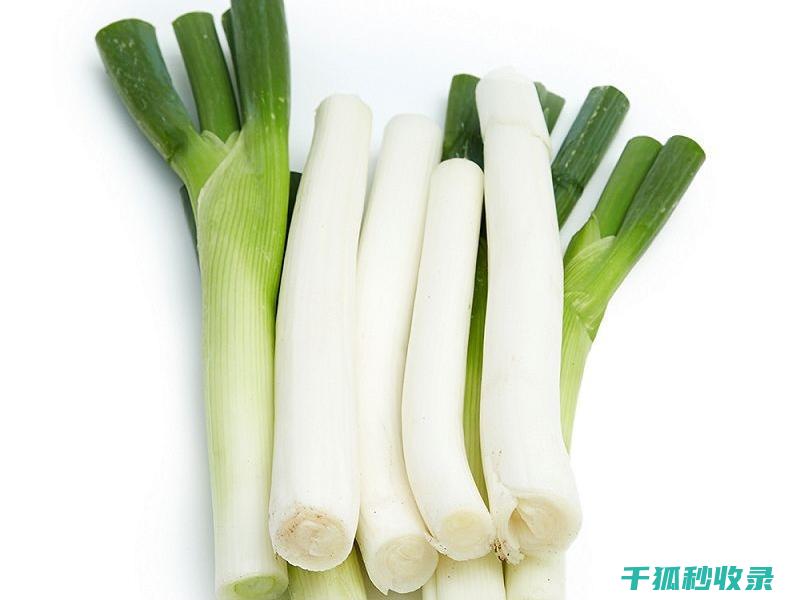 大葱保存方法：让你的大葱保持新鲜更久 (大葱保存方法 夏天)