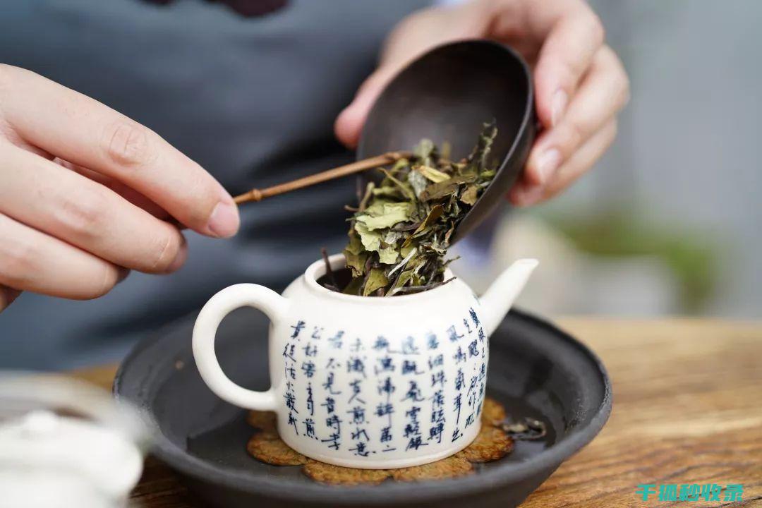 茶叶保存要点：延长茶叶寿命的小技巧 (茶叶保存要点是什么)