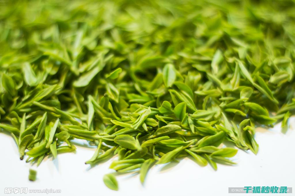 茶叶保存之道：让你的茶叶保持更长时间的新鲜度 (茶叶保存之道是什么)