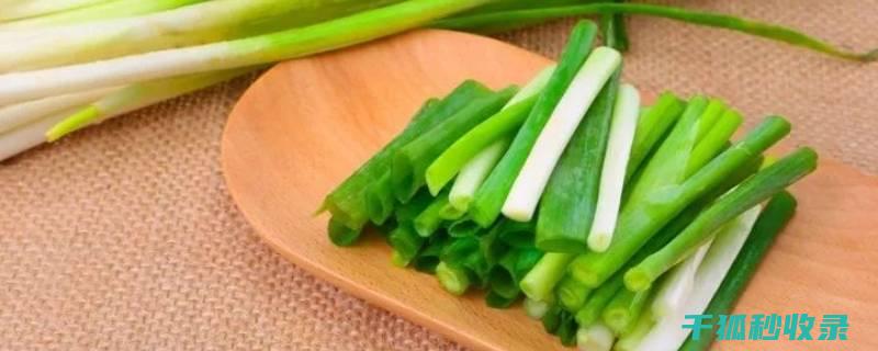 怎么让葱长得旺盛