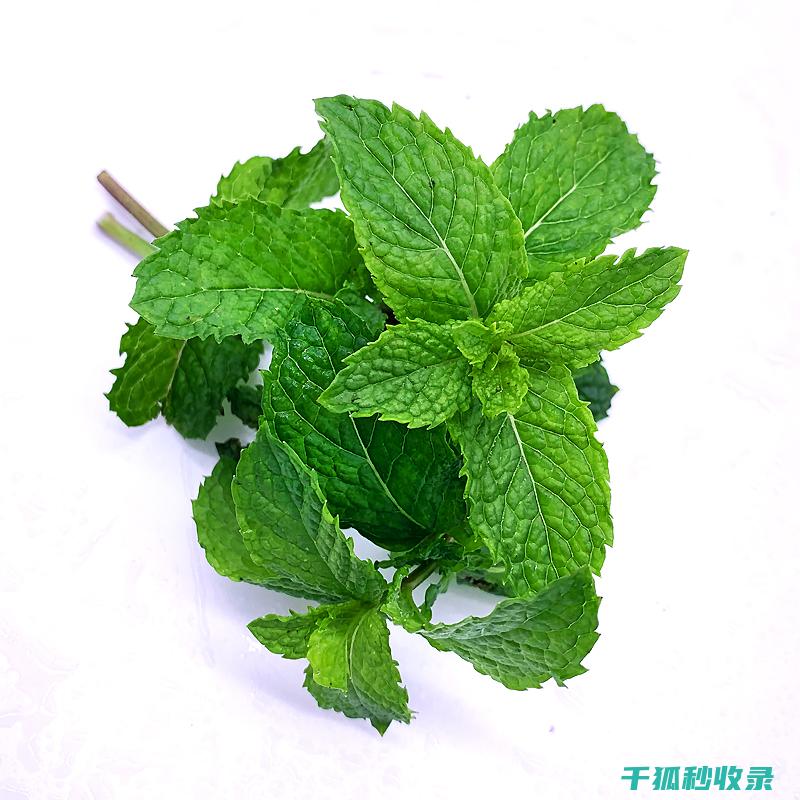 食用油保存的正确姿势 (食用油保存的最佳方法)
