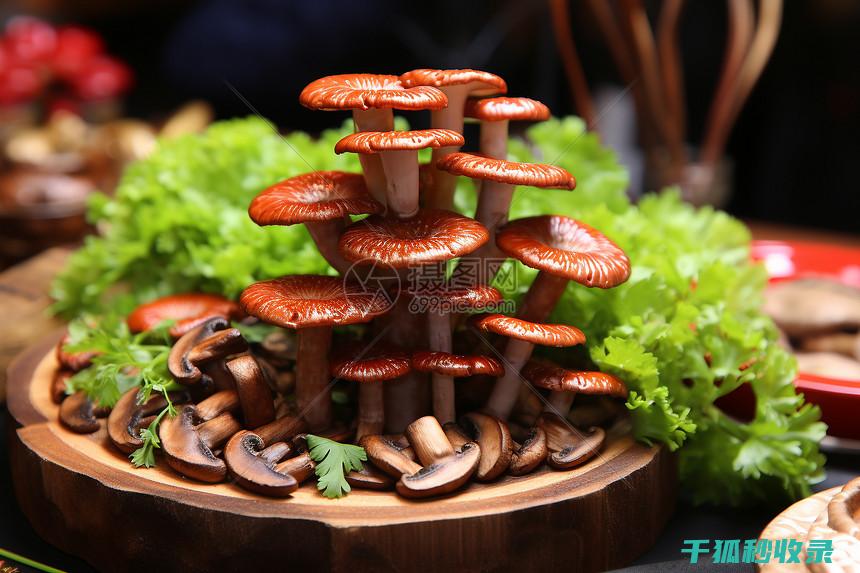 食用油保存的注意事项与技巧 (食用油保存的最佳方法)
