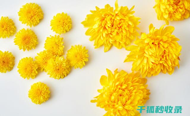 食用油保存的正确方法与技巧 (食用油保存的正确方法)