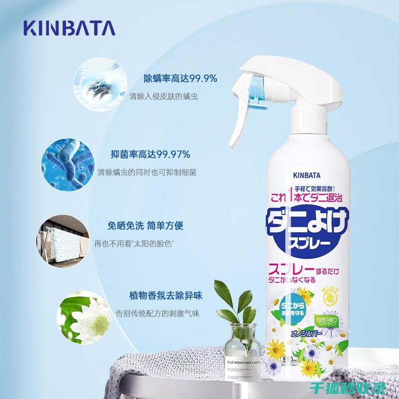 地毯脏了？这些快速清洁方法超实用 (地毯脏了怎么办?)