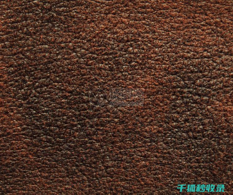 皮革去污全指南：各种污渍的应对方案 (皮革去污用什么好)