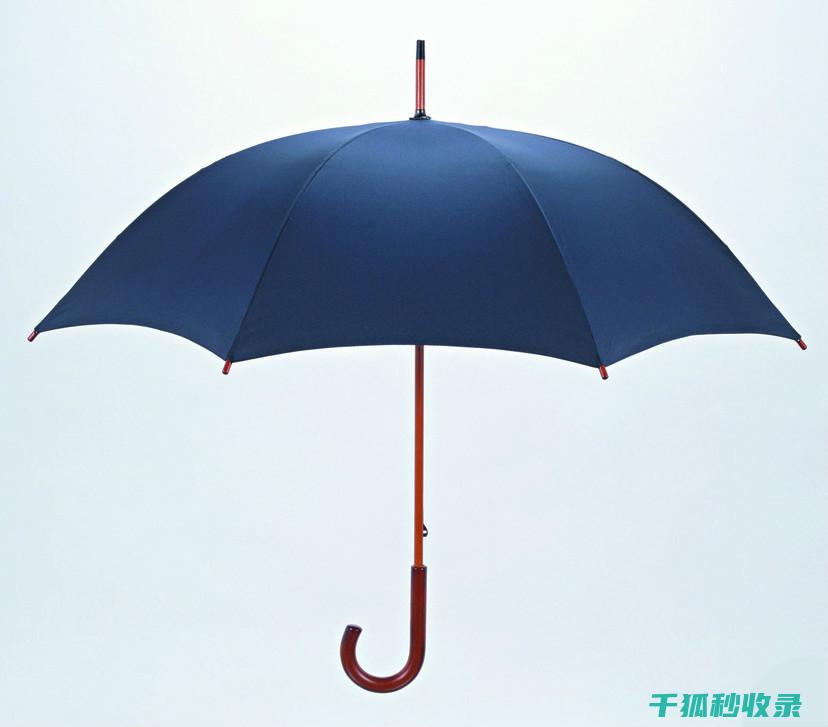 雨伞生锈了？这些除锈小妙招值得一看 (雨伞生锈了怎么去除)