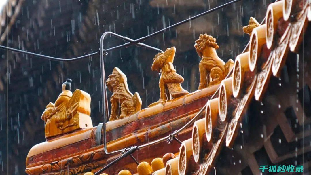 雨水挑战中的最佳选择：如何挑选高品质雨伞？ (雨水解说)