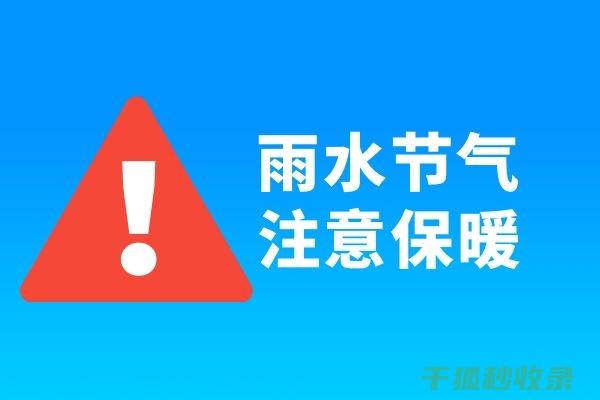 雨水中的可靠伴侣：雨伞防水性能全解析 (雨水里面有什么物质)