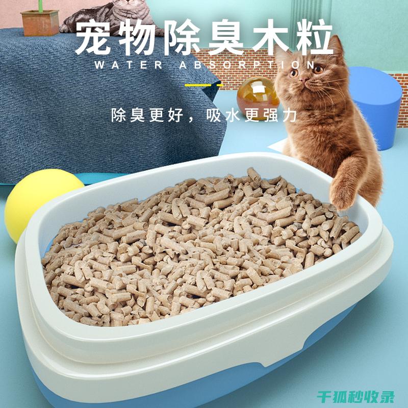 猫砂除臭难题如何破解？实用方法助你一臂之力 (猫砂除臭难题分析)