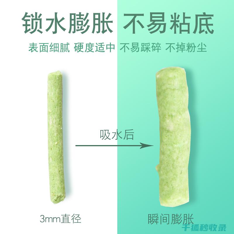 猫砂除臭小故事：宠物主人的亲身经历与感悟 (猫砂除臭小故事视频)