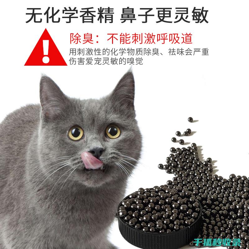 猫砂除臭新趋势：个性化定制与专属服务 (猫砂除臭新趋势分析)