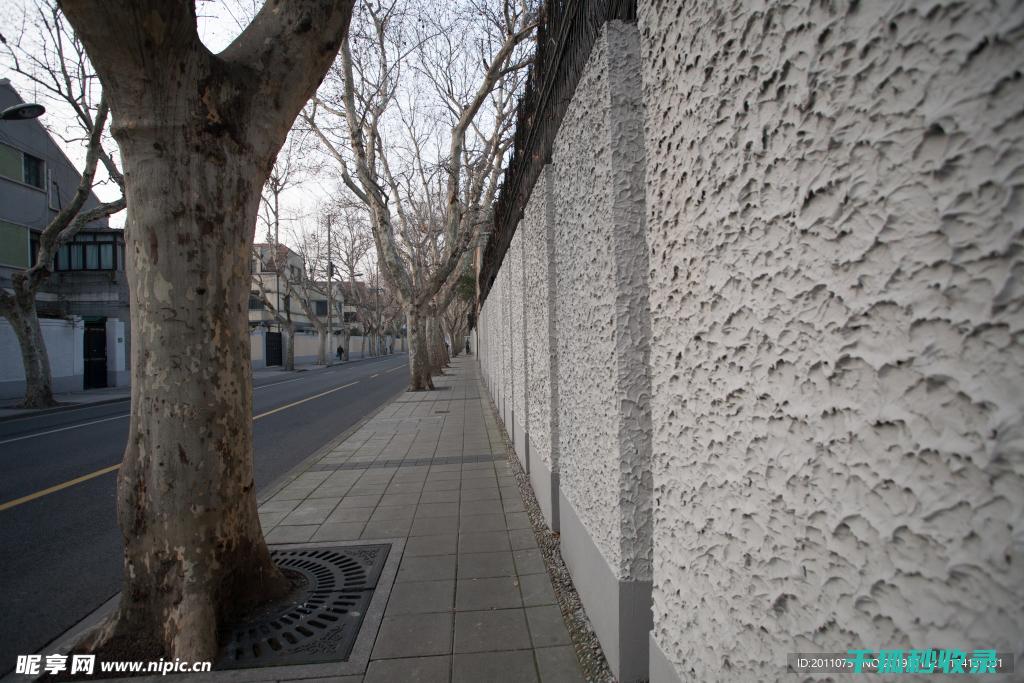 墙面收纳布局：巧妙利用每一寸空间 (收纳墙设计)