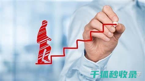 如何高效收纳锅盖？这招超实用！ (如何高效收纳物品)