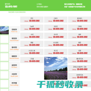 花海系列,草花系列,苗木系列,宿根系列,盆花系列,水生系列,种子种苗