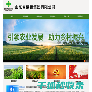 山东省供销集团有限公司