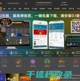 DJ娱乐网